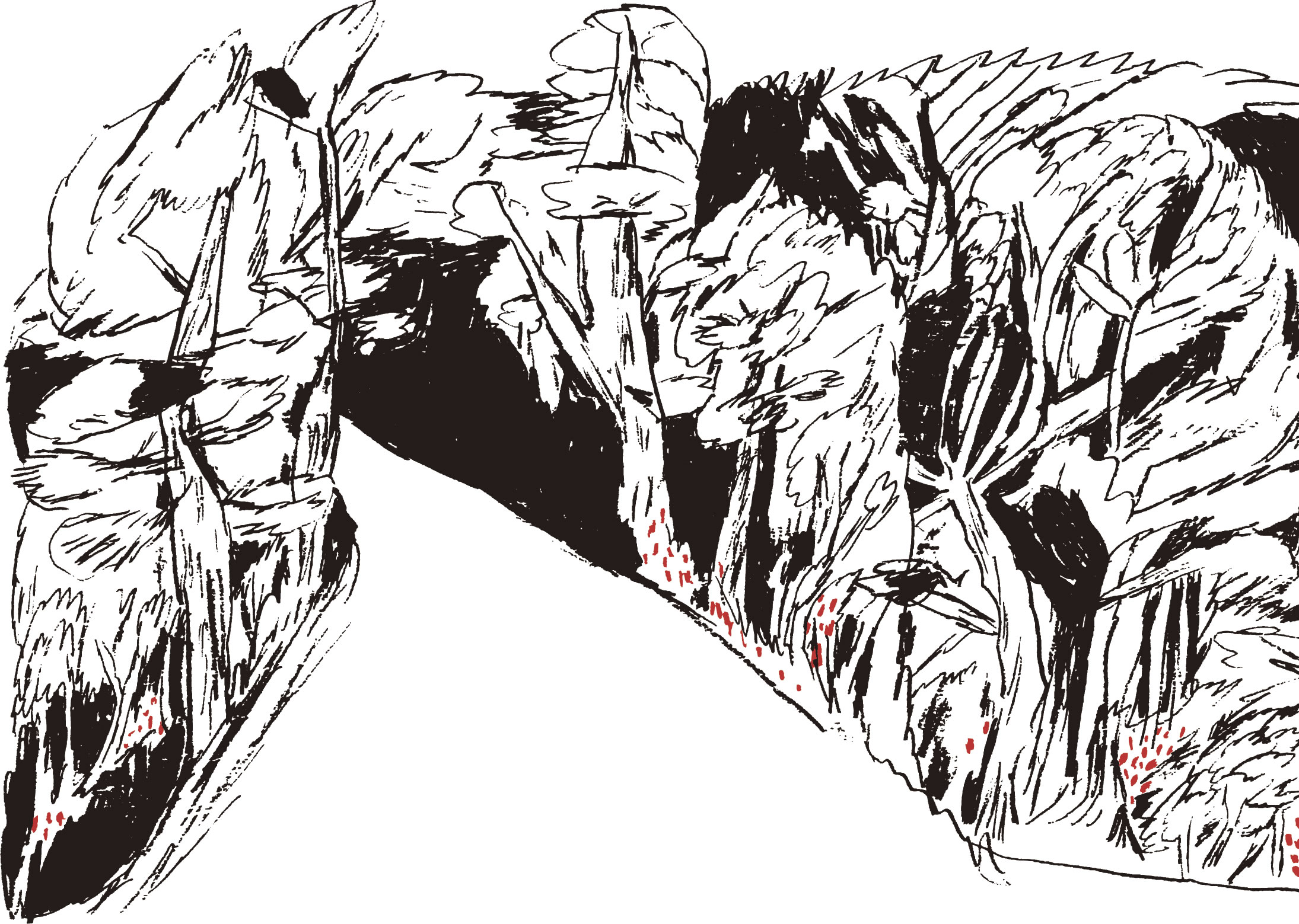 HOCCA（ホッカ）