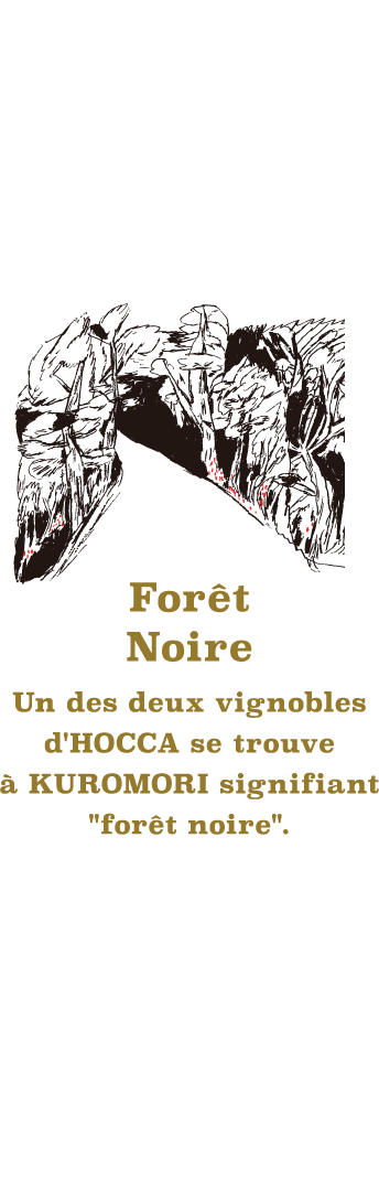 HOCCA（ホッカ）