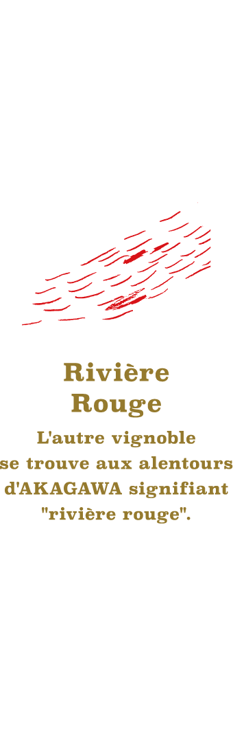 HOCCA（ホッカ）